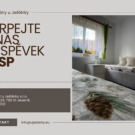 Za Babku S Infrasaunou Apartmán Jeseník